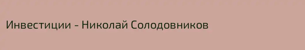 Инвестиции - Николай Солодовников